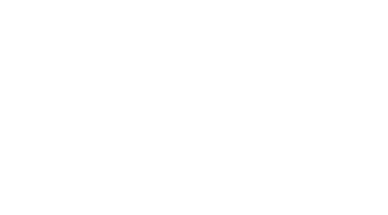 logo-zpn