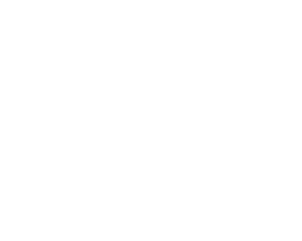 logo-acan