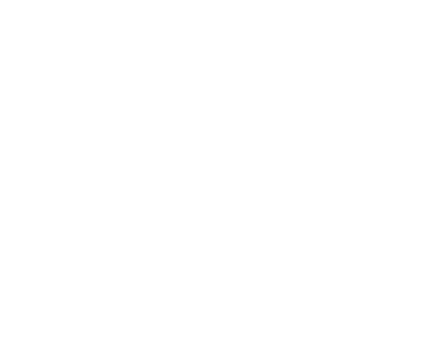 logo-brown