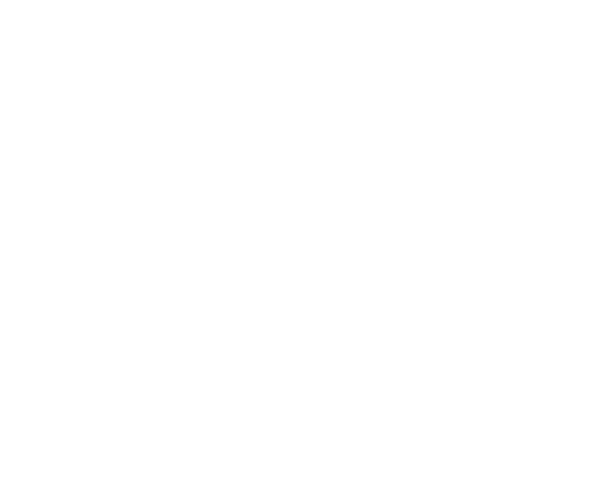 logo-budis