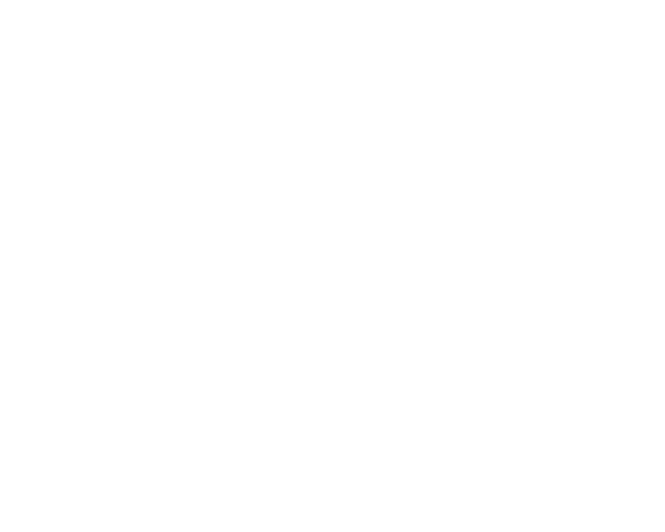 logo-nicolaus
